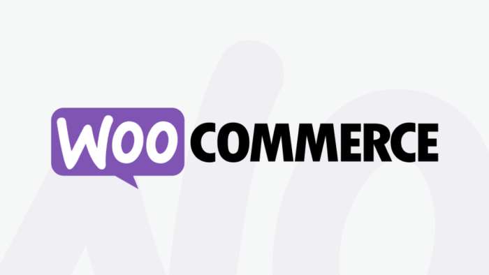 Κατασκευή B2B eshop με WooCommerce