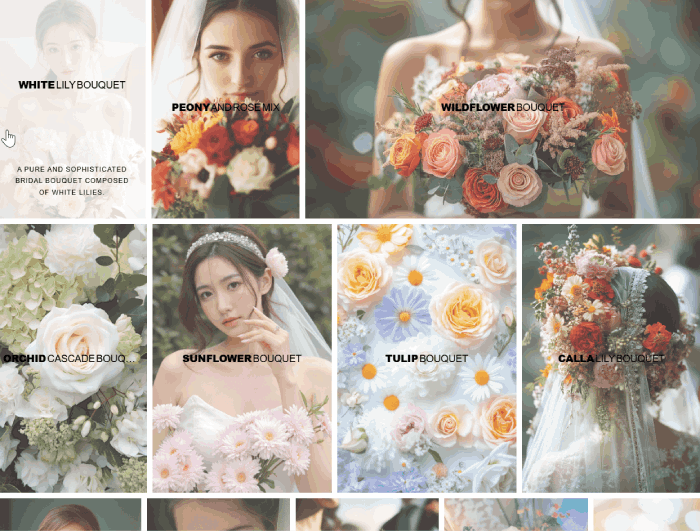 Robo Gallery photo gallery plugin